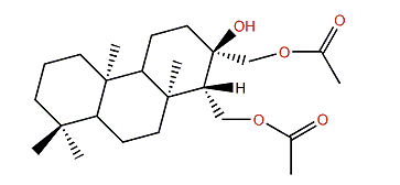 Anisodorin 5